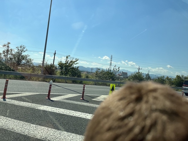 IMG_2125.jpeg