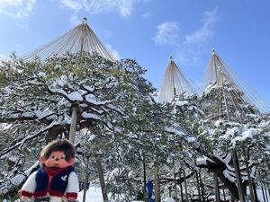 IMG_7216.jpeg