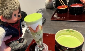 IMG_7241.jpeg