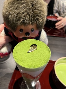IMG_7242.jpeg