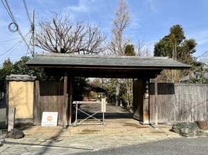 IMG_7286 2.jpeg